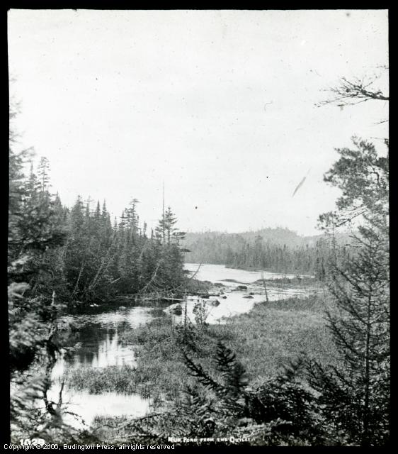 Mud Pond from the Outlet